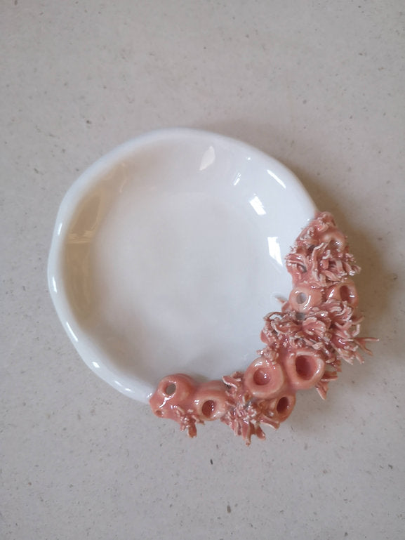 Taça Coral - Recife