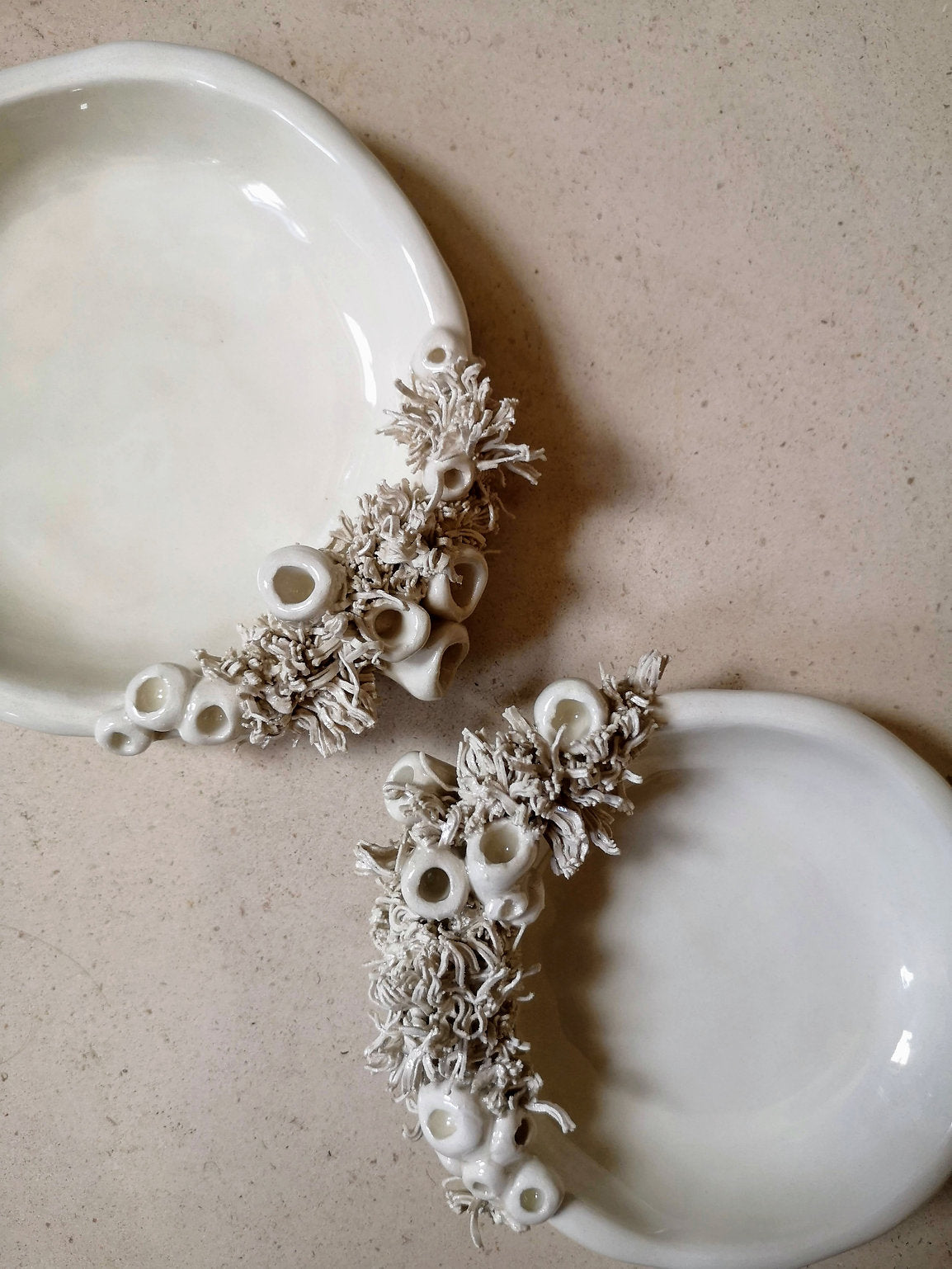 Taça Coral - Recife