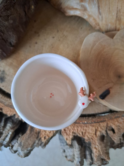 Pack - Cookies for Santa